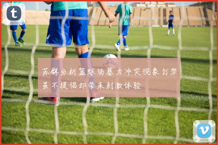 苏群分析篮球场暴力冲突现象打架虽不提倡却带来刺激体验