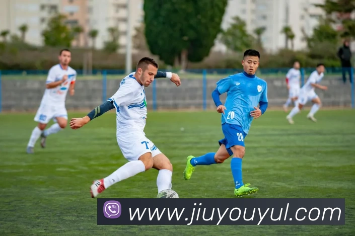 App Interface Preview